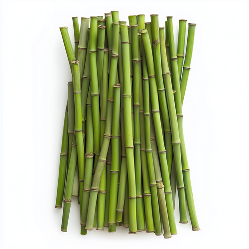 Bamboo