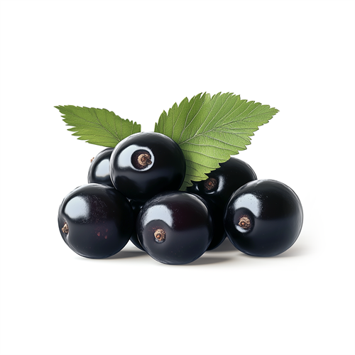 Blackcurrant