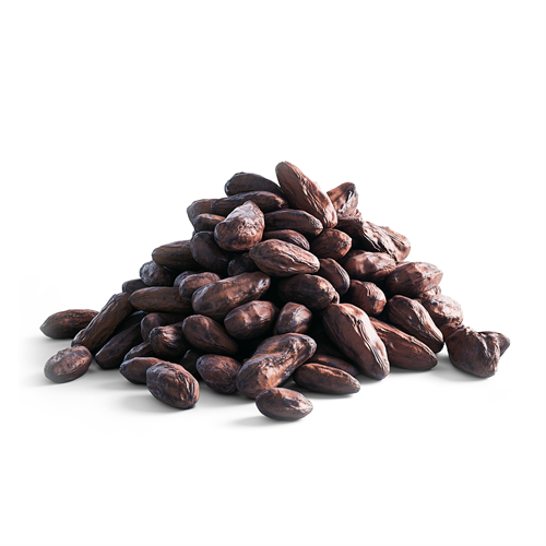 Cacao