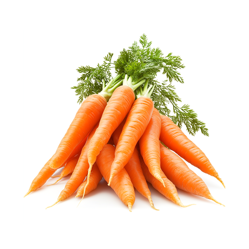 Carrot