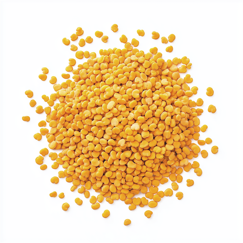 Fenugreek
