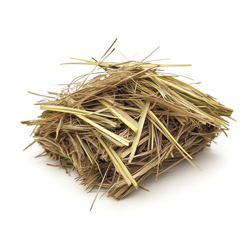 Haitian vetiver