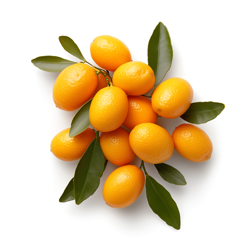 Kumquat
