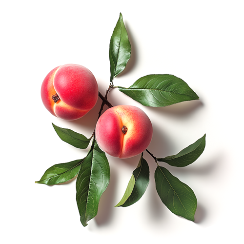 Peach leaves