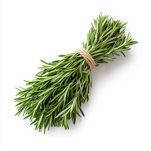 Rosemary