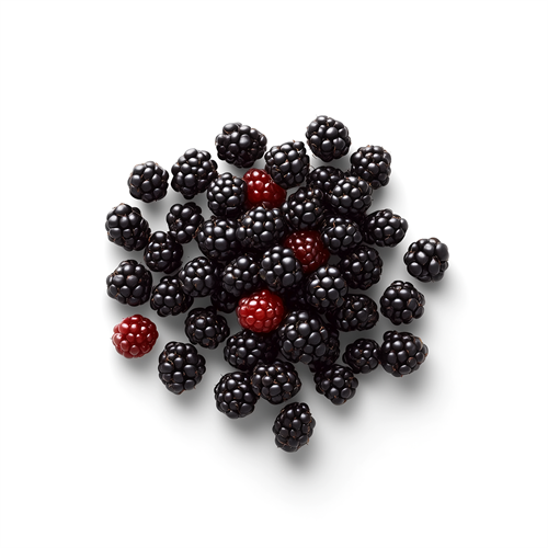 Wild berries